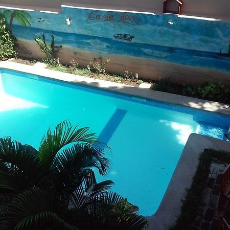 Guest House Casa De Oro Granada Εξωτερικό φωτογραφία